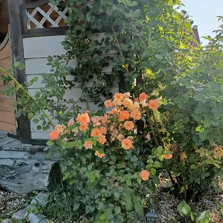 świerkowe Siedlisko Gościnne *