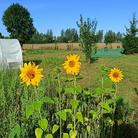 Casa di campagna Swierkowe Siedlisko Goscinne